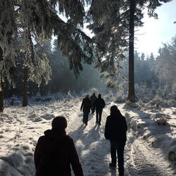 Wildwanderung am Rennsteig, Bild: Markus Creutzburg