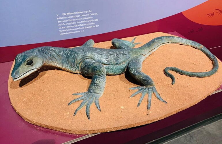 Erlebnisturm mit Aussicht und Ausstellungen © 