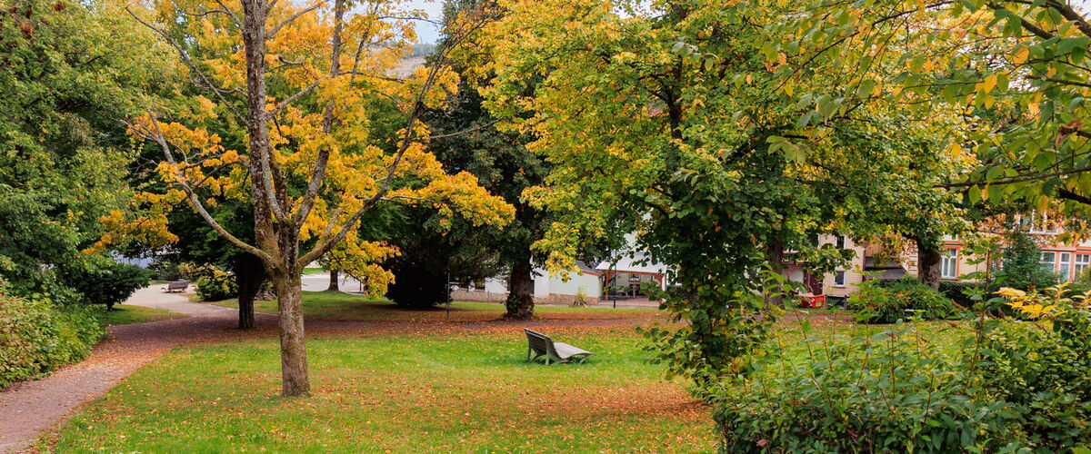Park in Friedrichroda