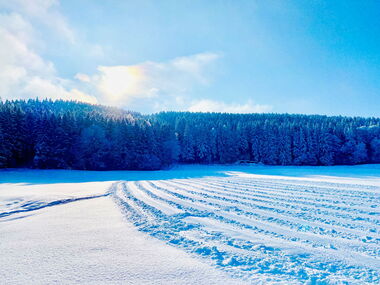 Winterlandschaft am Rodelhang Ochsenschau bei Friedrichroda