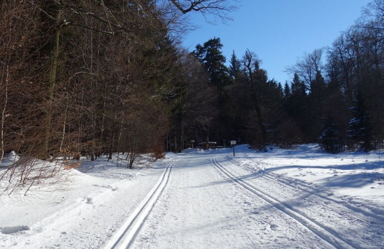 Loipen und Winterwanderweg auf dem Gelben Weg
