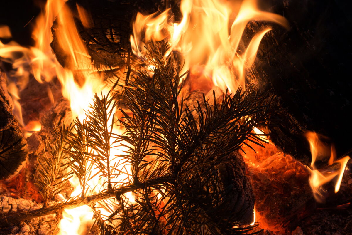 AdobeStock_106481660_Weihnachtsbaum verbrennen