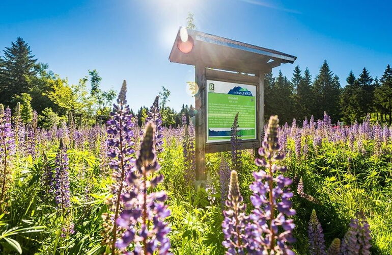 Rondel bei Oberhof © Dominik Ketz