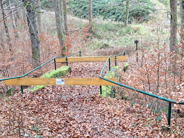 Gesperrte Totenbrücke im Wald bei Finsterbergen