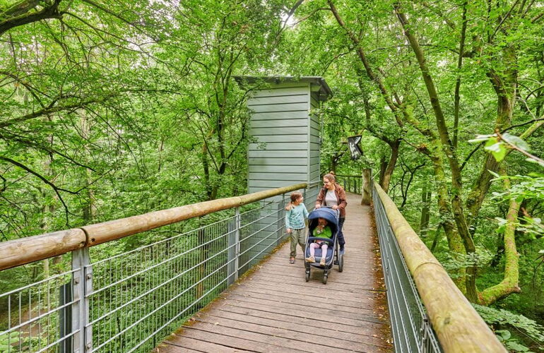 Familie mit Kinderwagen auf dem barrierefreien Baumkronenpfad im Nationalpark Hainich. © Florian Trykowski