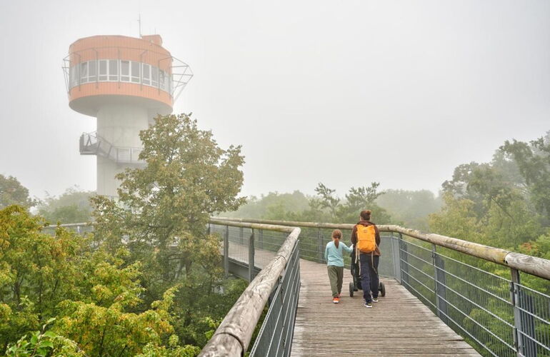 Familie auf dem Baumkronenpfad im Nationalpark Hainich im Nebel. Im Hintergrund der Aussichtsturm. © Florian Trykowski